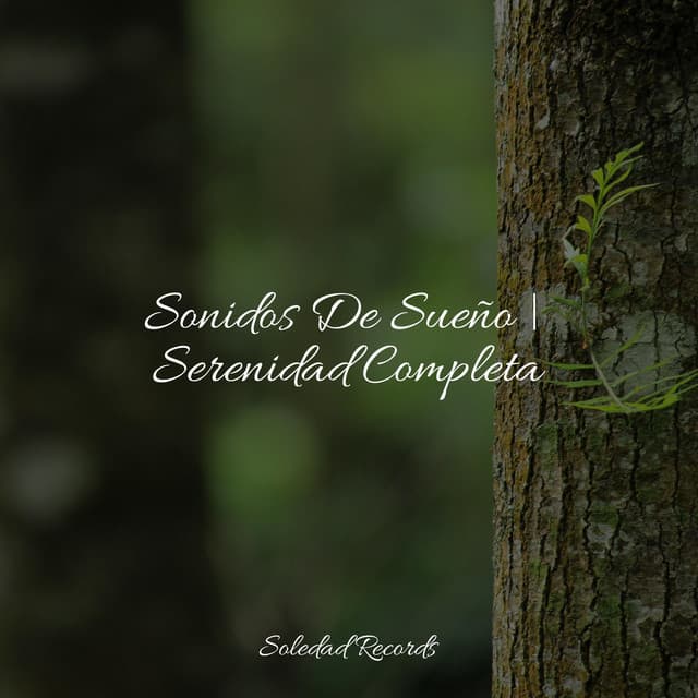 Sonidos De Sueño | Serenidad Completa - Música de la Naturaleza