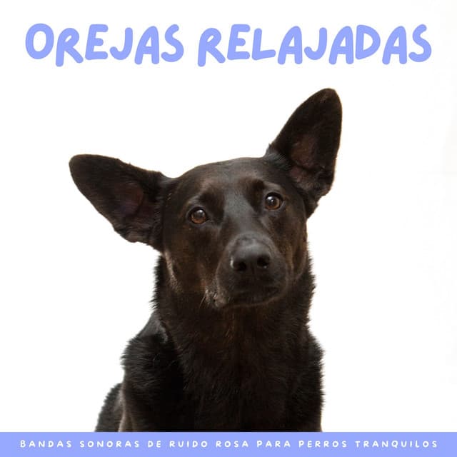 Orejas Relajadas: Bandas Sonoras De Ruido Rosa Para Perros Tranquilos - Ruido Perfecto