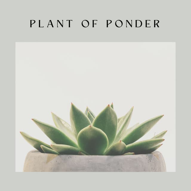 Plant of Ponder - Nature Calm