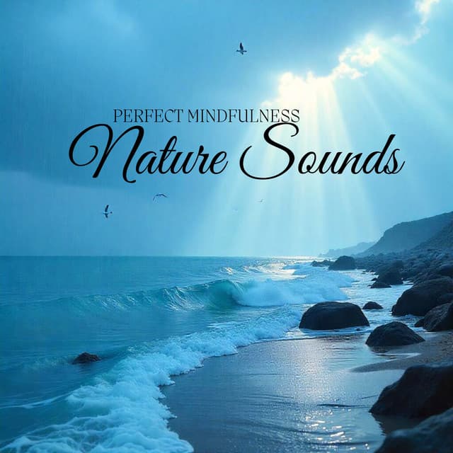 Perfect Mindfulness Nature Sounds - Relaxing Nature Sounds Collection