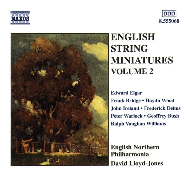 English String Miniatures, Vol. 2 - English Northern Philharmonia