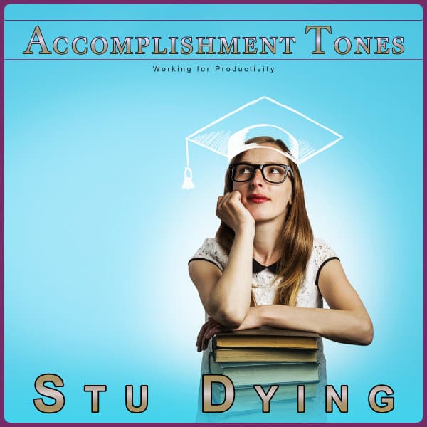 Accomplishment Tones: Working for Productivity - Stu Dying