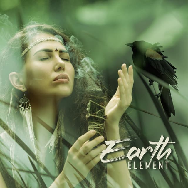 Earth Element: Endurance, Existence and Stability - Native Shamanic Zone