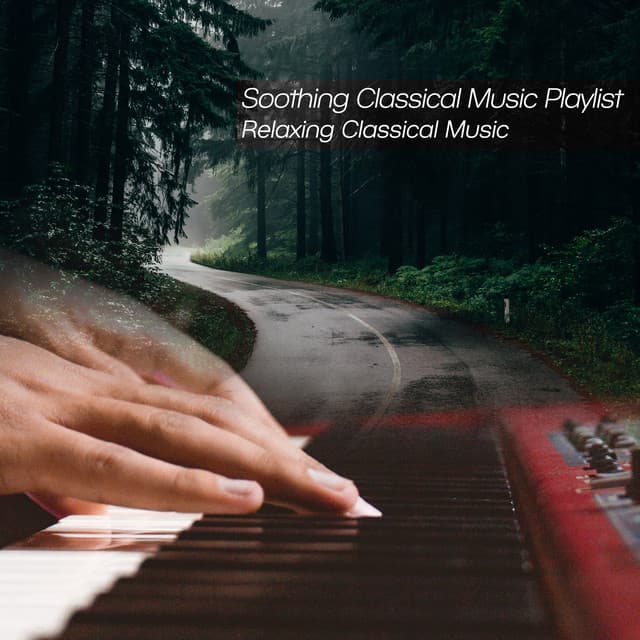 Soothing Classical Music Playlist - Relaxing Classical Music