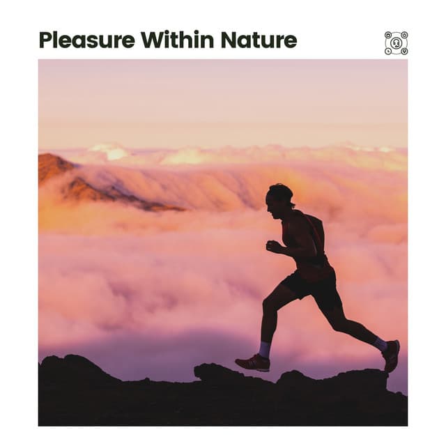 Pleasure Within Nature - Sounds of Nature Noise