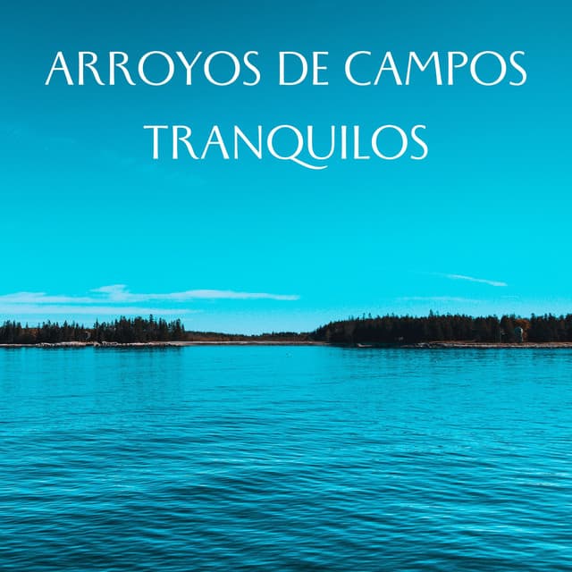 Arroyos De Campos Tranquilos - Aguas Pura