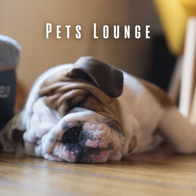 Pets Lounge: Coffee Shop Sounds with Groovy Jazz Tunes - Chilled Jazz Atmosphere