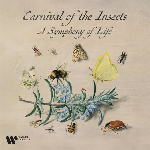 Zzzz. Carnival of the Insects - A Symphony for Life - Wolfgang Amadeus Mozart