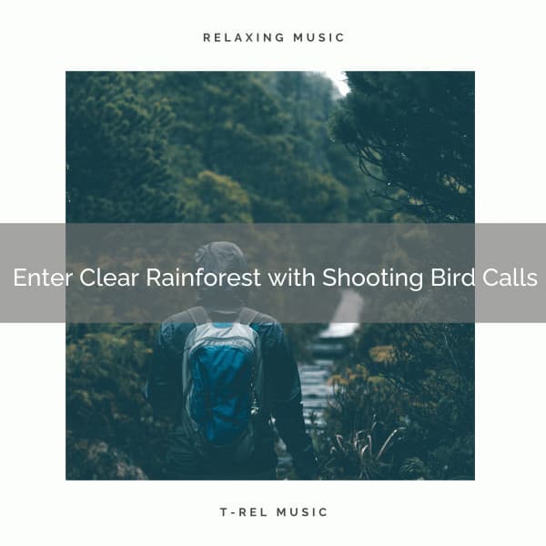 ! ! ! ! ! ! Enter Clear Rainforest with Shooting Bird Calls - Ambient Rain