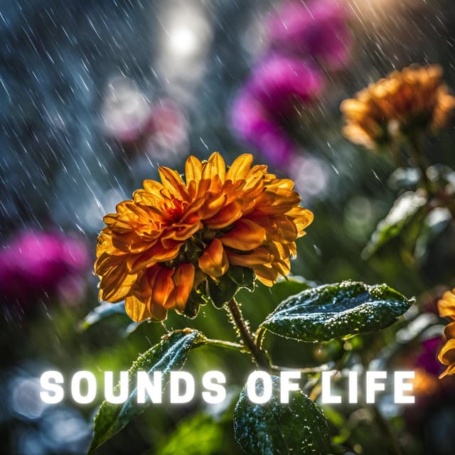 Sounds of Life - Alpha Vectoriam