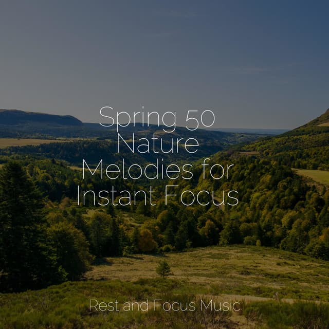 Spring 50 Nature Melodies for Instant Focus - Children's Music