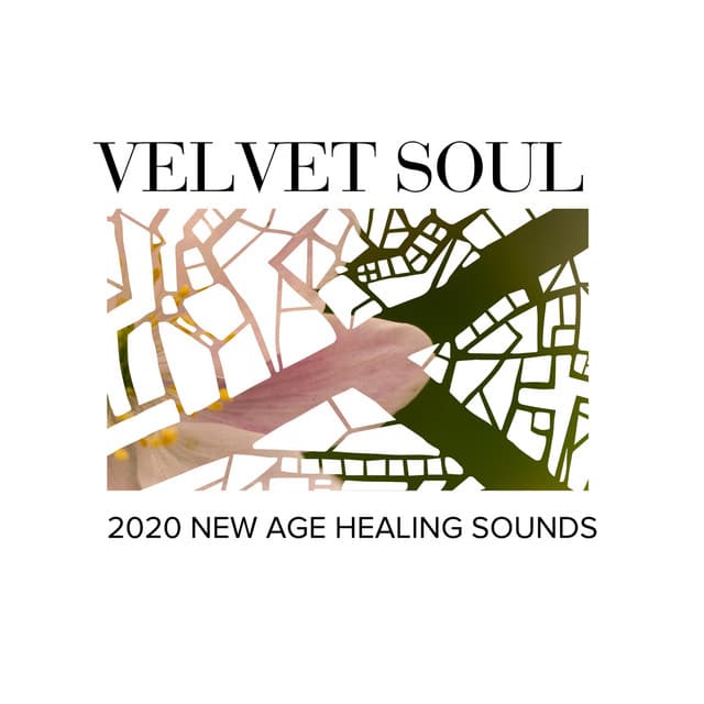 Velvet Soul - 2020 New Age Healing Sounds - Gold Spa Melodies