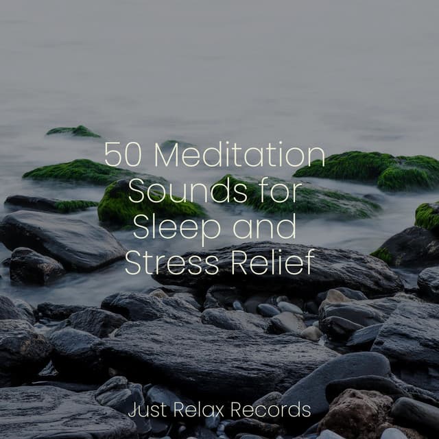 50 Meditation Sounds for Sleep and Stress Relief - Exam Study Classical Music