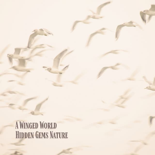 Hidden Gems Nature