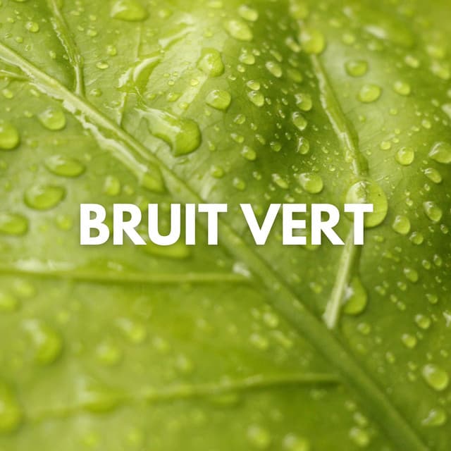Bruit Vert - Android de bruit blanc