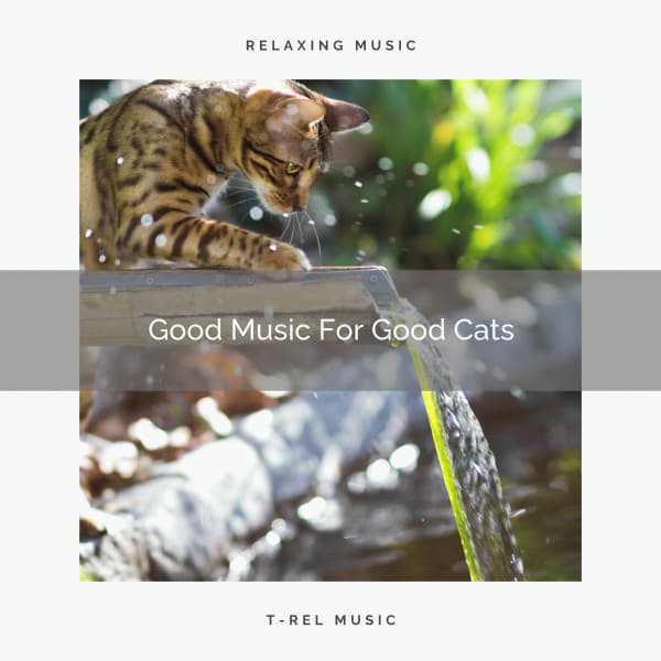 Good Music For Good Cats - Sleepy Pets