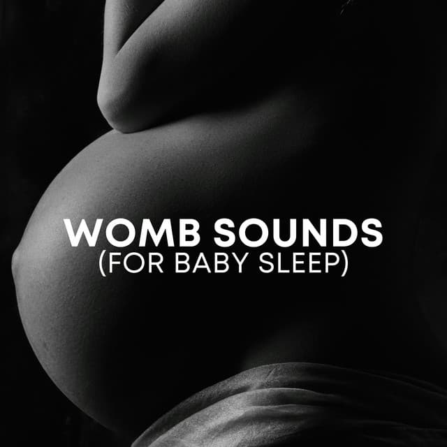 Womb Sounds - Babysounds