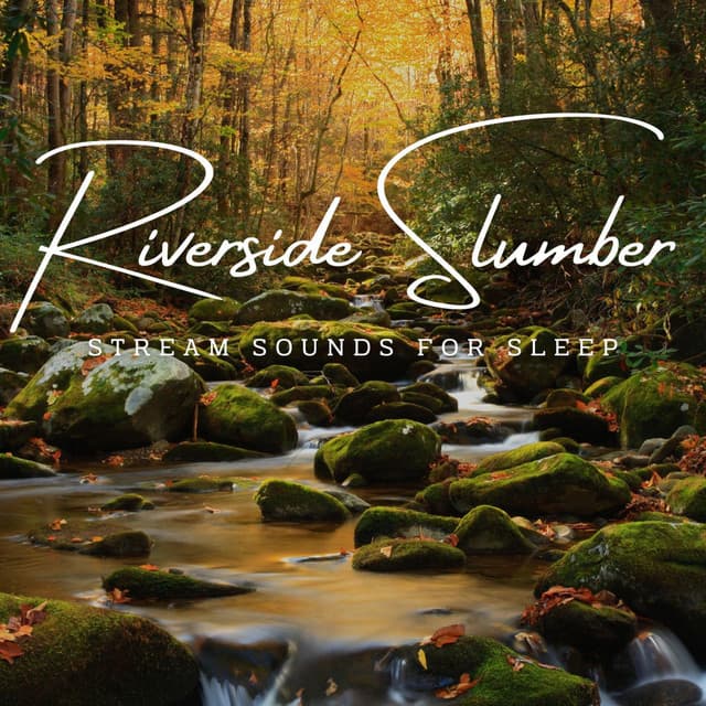 Riverside Slumber: Stream Sounds for Sleep - Relaxing Ocean Library