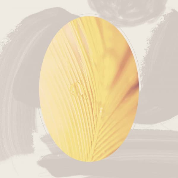 Music for Mood Enhancers - Jazz Bar Italiano