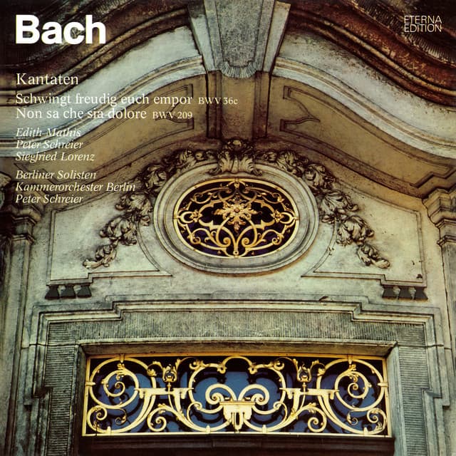 Bach: Schwingt freudig euch empor, BWV 36c / Non sa che sia dolore, BWV 209 - Johann Sebastian Bach