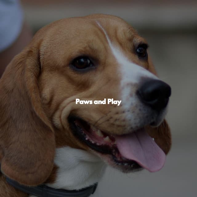 Paws and Play - Musik zum Lernen
