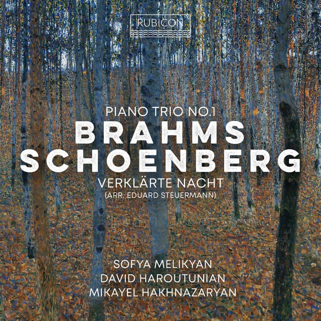 Brahms: Piano Trio No. 1 - Schoenberg: Verklärte Nacht - Johannes Brahms