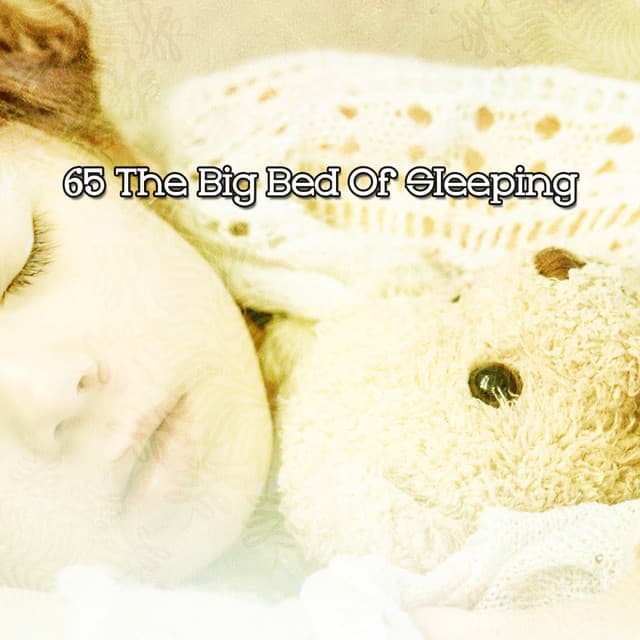 65 The Big Bed Of Sleeping - All Night Sleeping Songs to Help You Relax