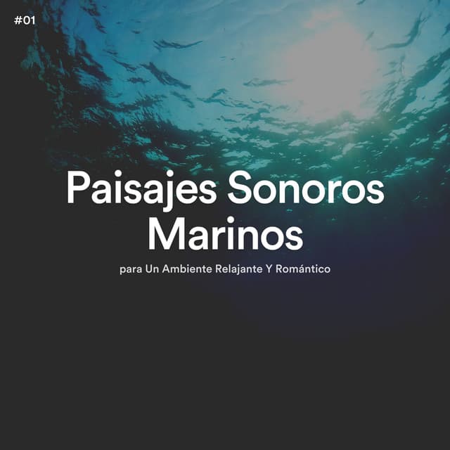 #01 Paisajes Sonoros Marinos para Un Ambiente Relajante Y Romántico - Olas del Mar