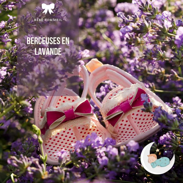 Berceuses en lavande: Rêves de boîte à musique - Bébé Sommeil