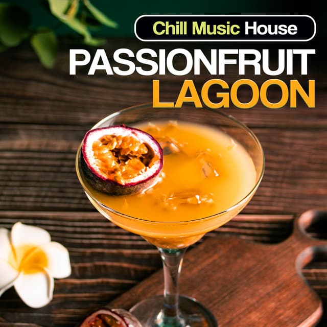 Passionfruit Lagoon - Chill Music House