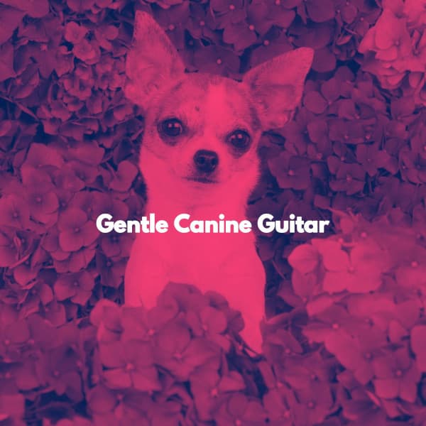 Gentle Canine Guitar - Soft Sunday Morning Music