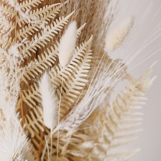 Melodies for its - Chakra Meditation Universe