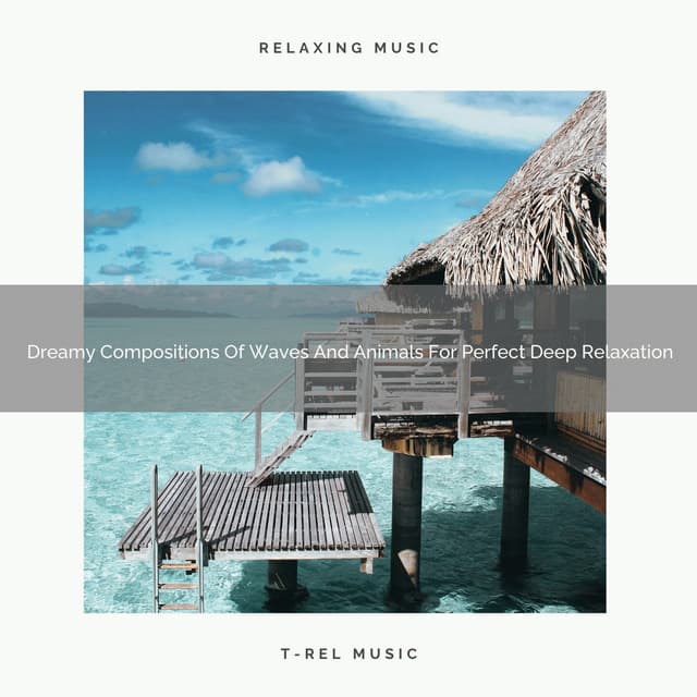 Dreamy Compositions Of Waves And Animals For Perfect Deep Relaxation - Deep Rain Sampling