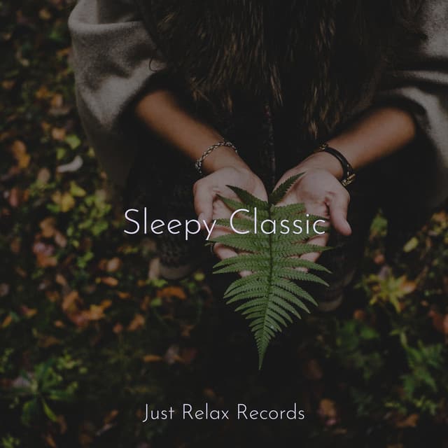 Sleepy Classic - Spa