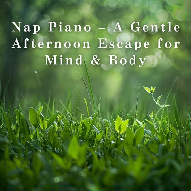 Nap Piano – A Gentle Afternoon Escape for Mind & Body - LOVE BOSSA