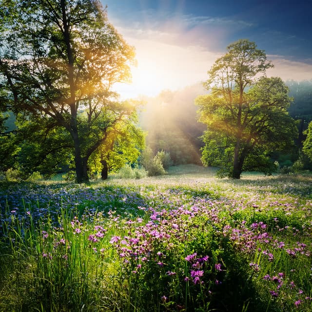 Music For Letting Go And Embracing Simplicity - Relaxing Time Music