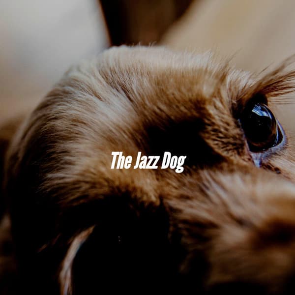 The Jazz Dog - Calm Dog Music