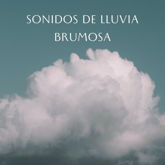 Sonidos De Lluvia Brumosa - Cara de lluvia