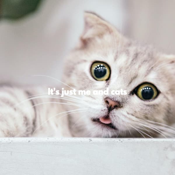 It's just me and cats - Smooth Jazz Sax Instrumental