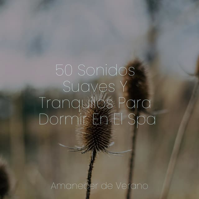 50 Sonidos Suaves Y Tranquilos Para Dormir En El Spa - Nature Sounds Nature Music