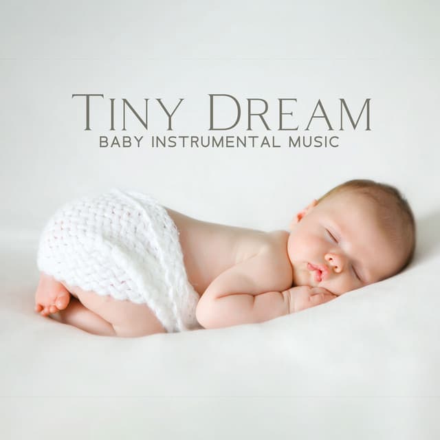 Tiny Dream - Soothing Baby Music Zone