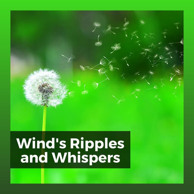 Wind's Ripples and Whispers - Sound of Nature Library