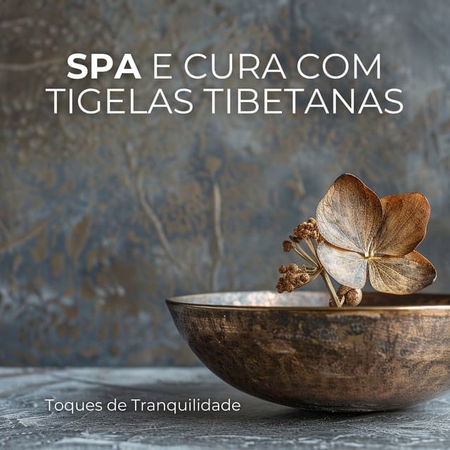 Zona de meditação de cura