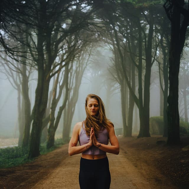 Gentle Lofi Tunes for Mindful Meditation - Meditation product