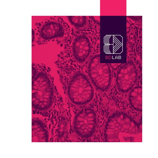 Echoes of Serenity - 8D Lab - Meditation Music