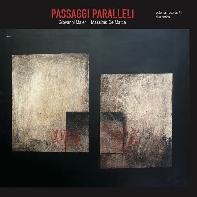 Passaggi paralleli - Massimo De Mattia