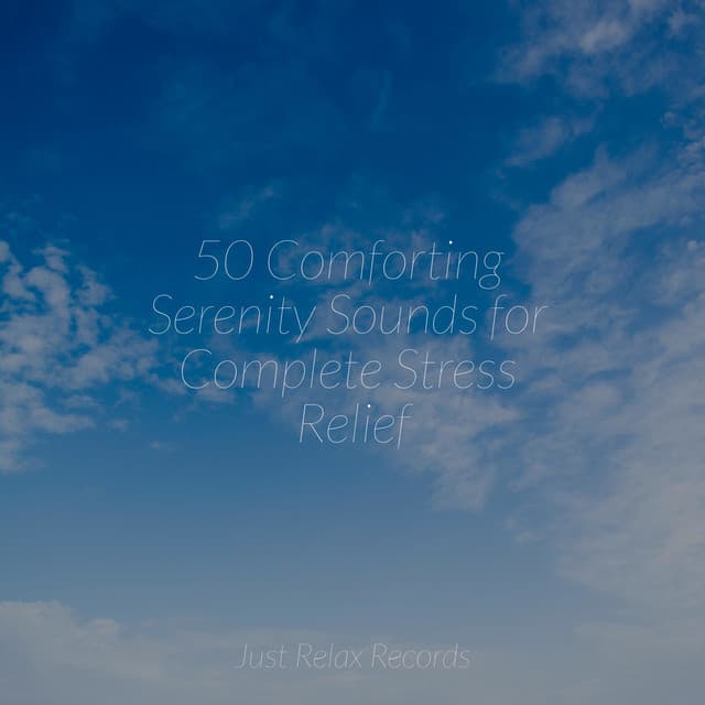 50 Comforting Serenity Sounds for Complete Stress Relief - Shakuhachi Sakano