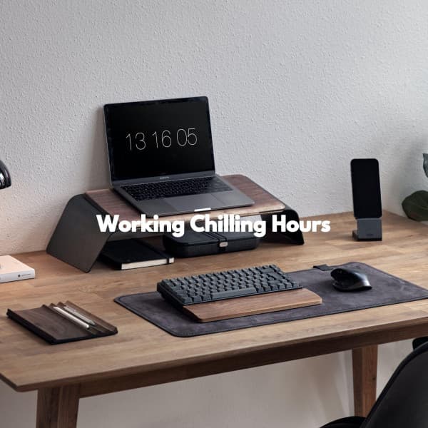 Working Chilling Hours - Brazilian Jazz Deluxe