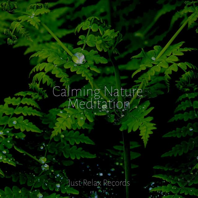 Calming Nature Meditation - Nursery Rhymes Club