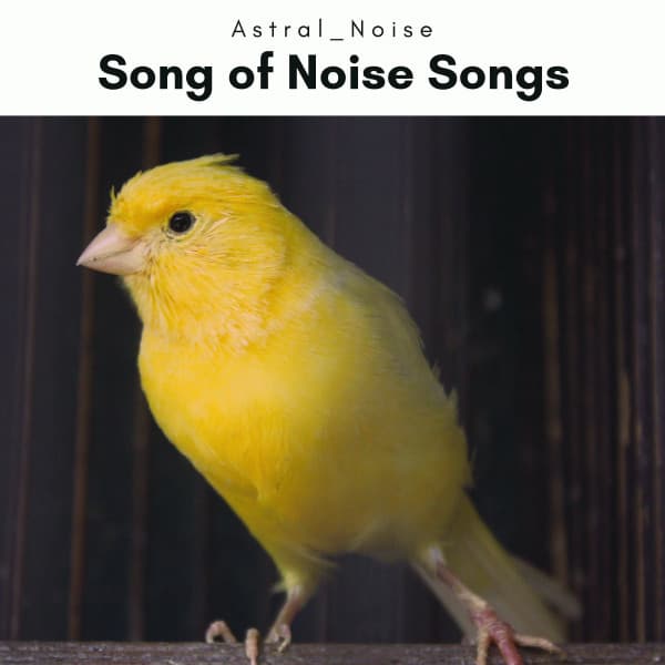 2 0 2 2 Song of Noise Songs - Astral Noise